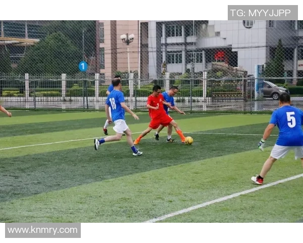 顾家足球巨星的奋斗之路与家庭温情并肩前行的感人故事